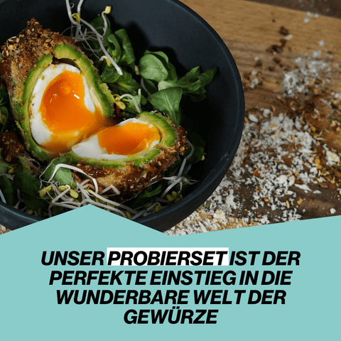 TOPSELLER | Gewürze Kennenlern-Set | 6 Mikro-Gewürzdosen - STAY SPICED ! - 59055x