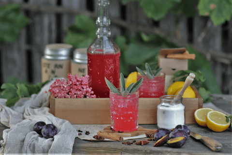 Zwetschkensirup - STAY SPICED !