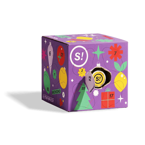STAY SPICED! Gewürz Adventskalender 2026 – Spice Cube Mini - STAY SPICED ! - 98016x